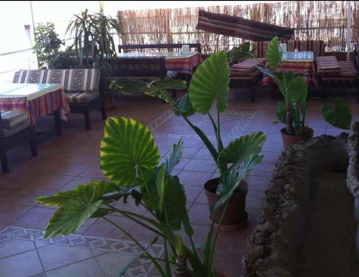 Denizhan Hotel อันตัลยา ภายนอก รูปภาพ
